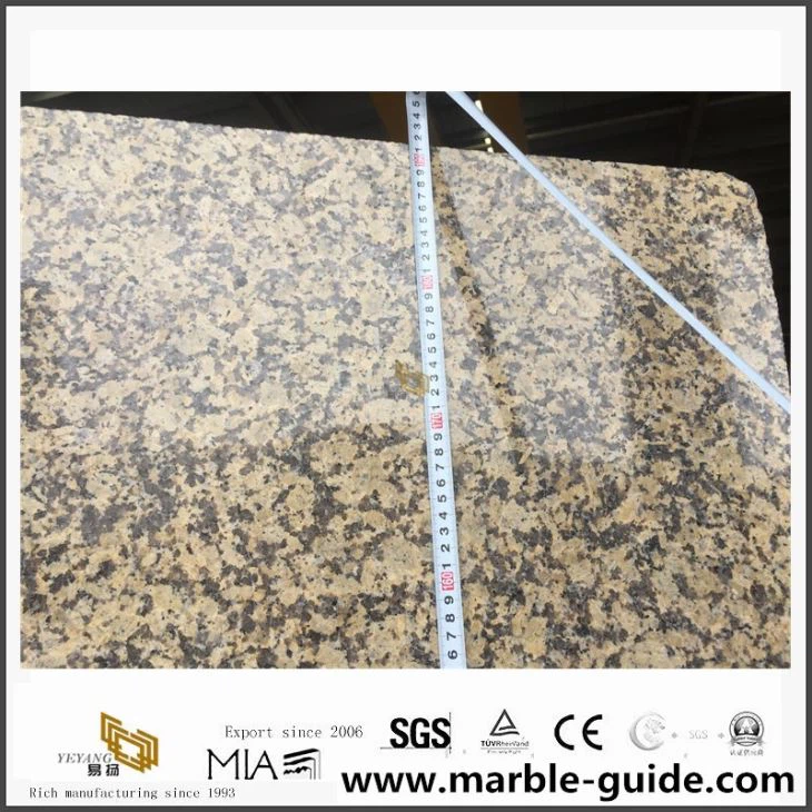 Chrysanthemum Yellow Granite Stone Tiles